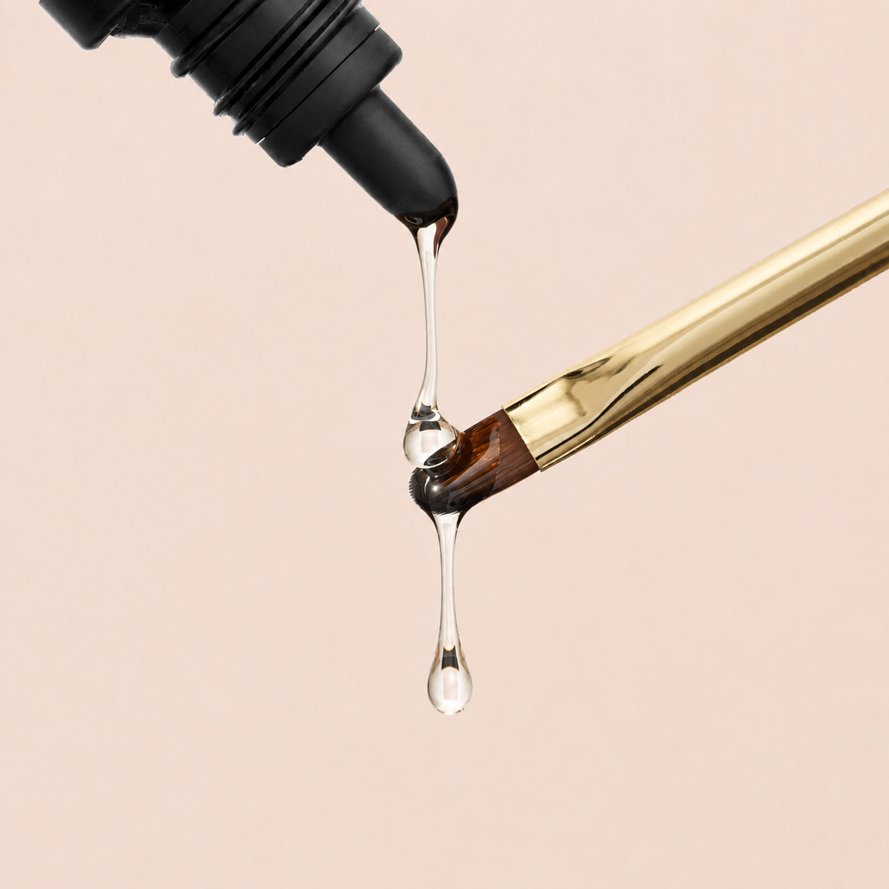 Vitamin Magnet primer