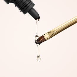 Magnet primer