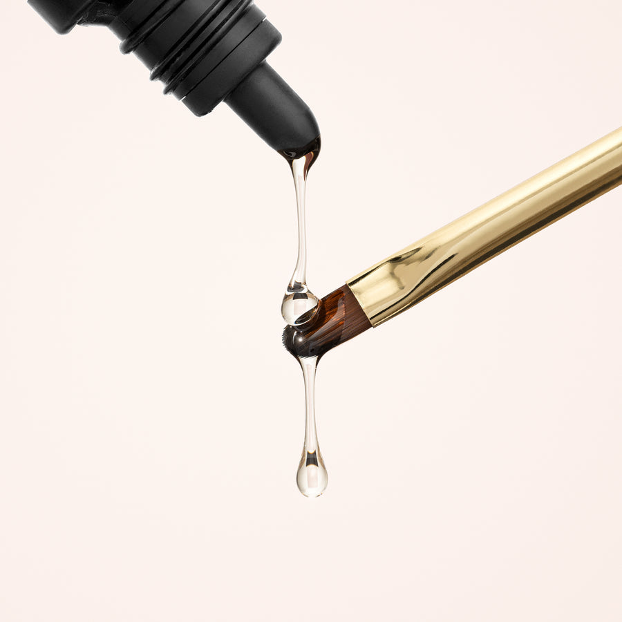 Magnet primer