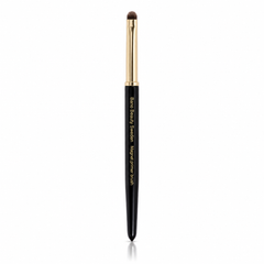 Magnet primer brush