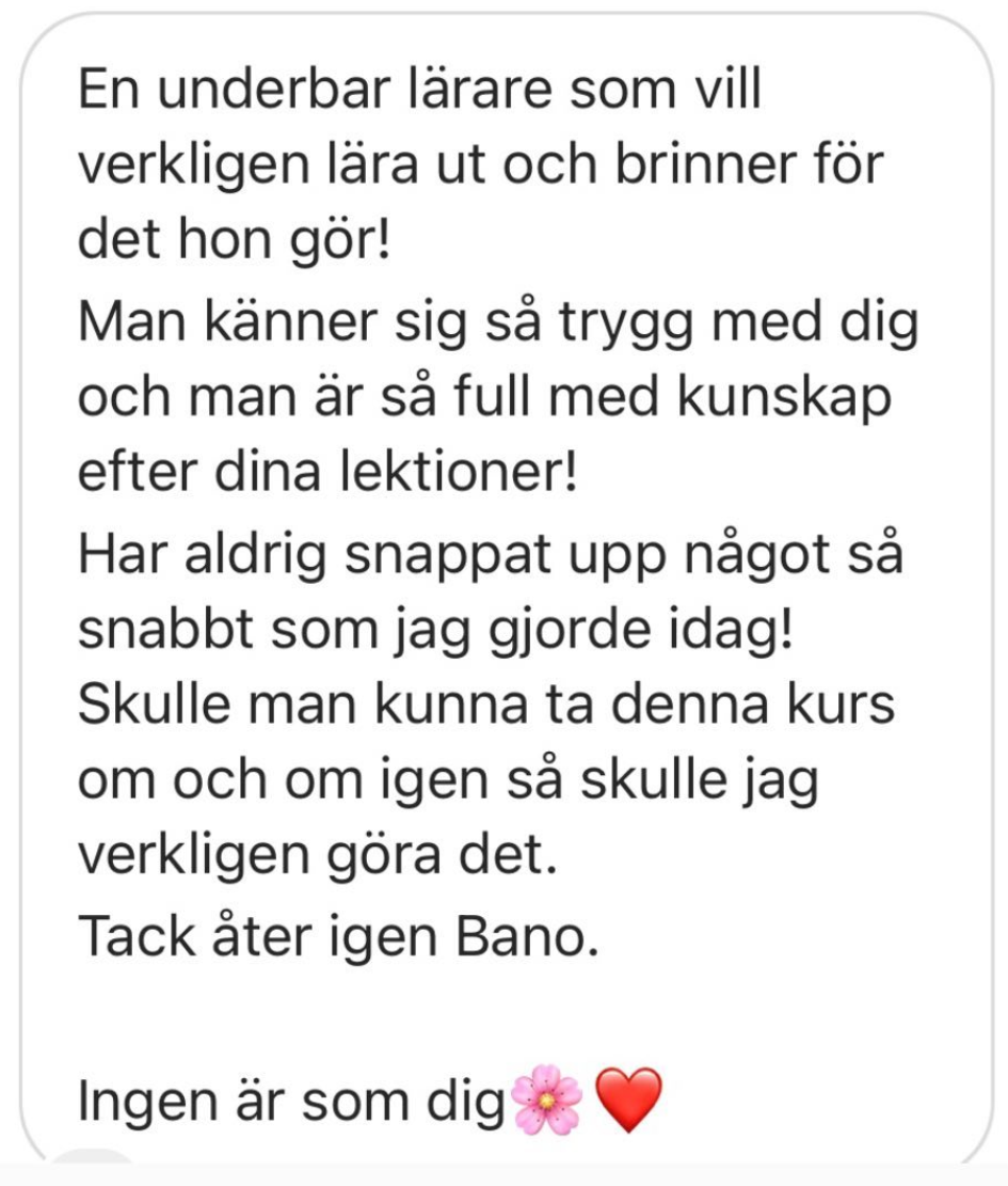 Instagram recension